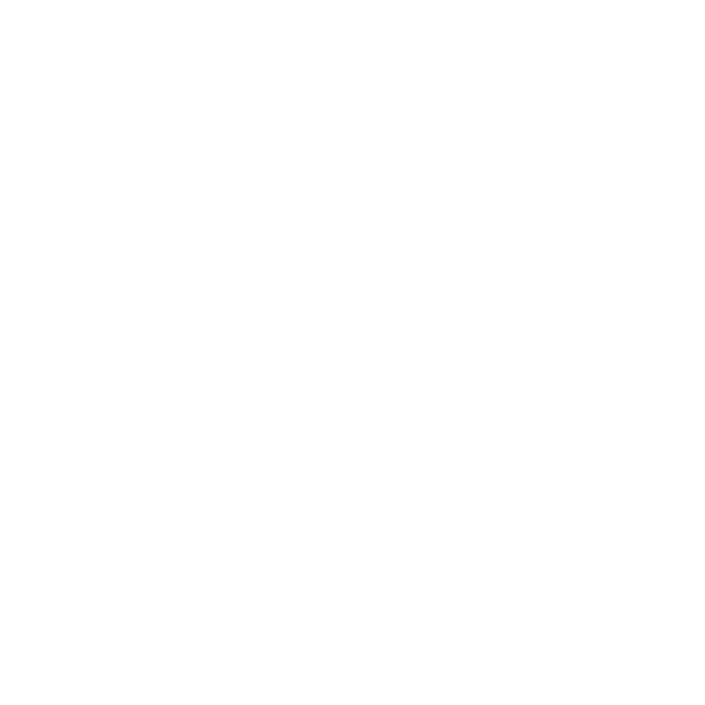 bizaccess-logo